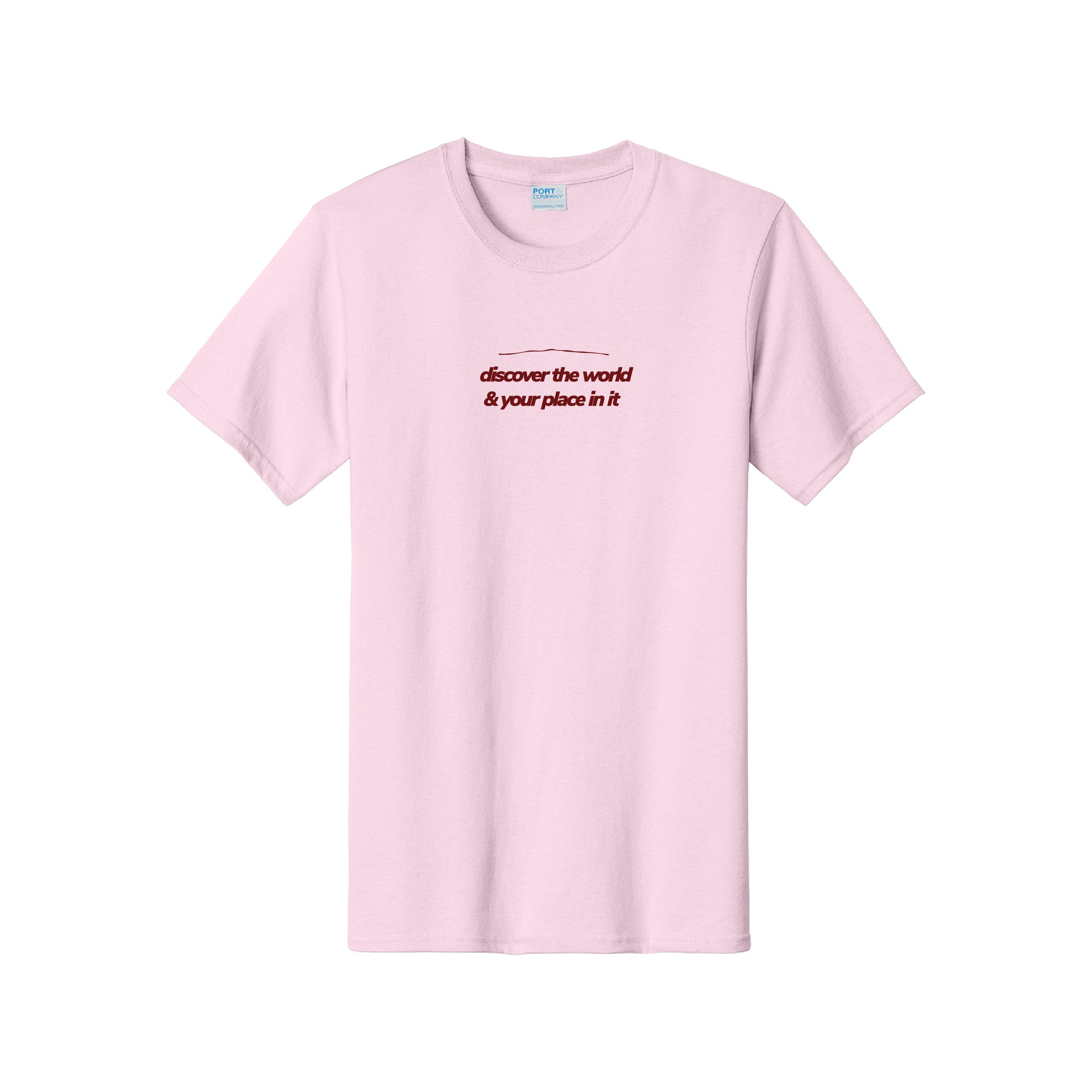 Discover The World & Your Place In It Tee